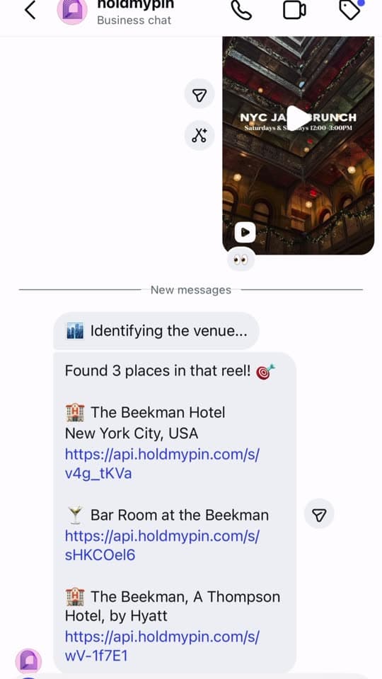 Recorded Instagram chat showing the shared reel and Hold My Pin’s reply with place links